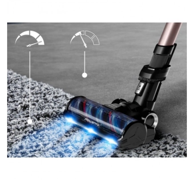 Пилосос Rowenta RH9CD9E0
