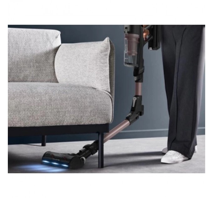 Пилосос Rowenta RH9CD9E0