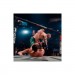 Sony Гра Sony EA Sports UFC 5 , BD диск (5908305248255)