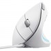 Trust Мишка Trust Verto Ergonomic USB White (25133)