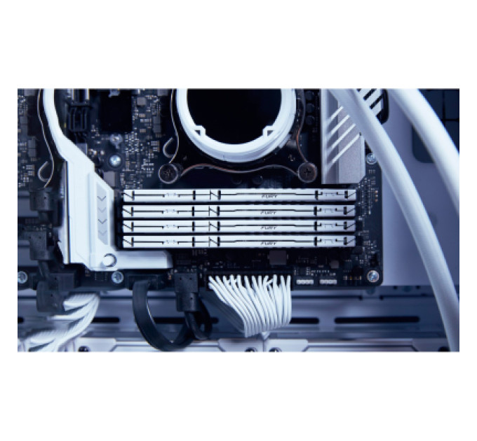 Kingston Fury (ex.HyperX) Модуль пам'яті для комп'ютера DDR5 16GB 6000 MHz Beast White EXPO Kingston Fury (ex.HyperX) (KF560C36BWE2-16)