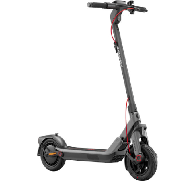 Segway Електросамокат Segway E3 PRO E сірий (AA.05.19.02.0003)