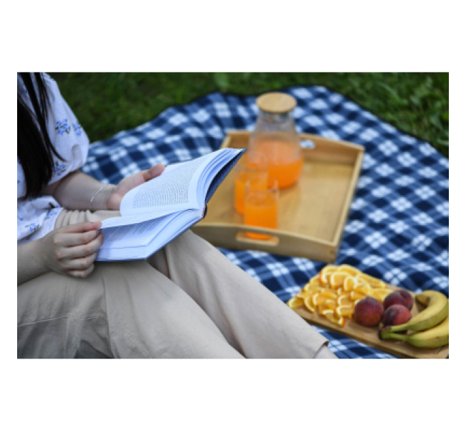 Ardesto Плед Ardesto Picnic 130х170см, 100% поліестер, клітинка синій (ART0916BC)