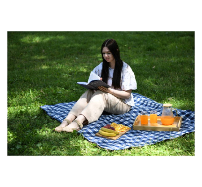 Ardesto Плед Ardesto Picnic 130х170см, 100% поліестер, клітинка синій (ART0916BC)