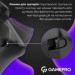 GamePro Геймпад GamePro 2.4G/BT 5.1/USB (Switch/PC/PS/iOS/Android) RGB Black (GPS20B)