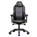 1stPlayer Крісло для геймерів 1stPlayer F.A.S.T.