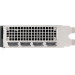 PNY Відеокарта PNY NVIDIA RTX 2000 Ada (VCNRTX2000ADA-SB)