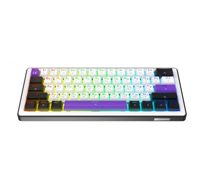 Клавіатура Hator Hellyberry HK60 Mechanical Linear RGB USB UA Black/White (HK60)