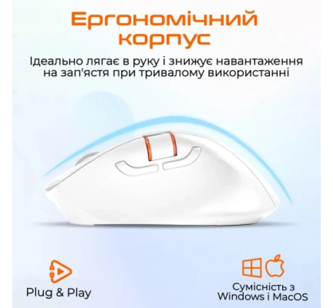 Meetion Мишка Meetion BTM032 Wireless/Bluetooth/USB White (MT-BTM032-B)