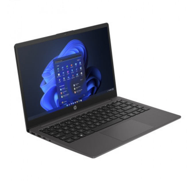 HP Ноутбук HP 245 G10 (817V8EA)