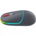 Canyon Мишка Canyon MW-22 Dual Band RGB Wireless Dark Grey (CNS-CMSW22DG)