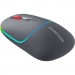 Canyon Мишка Canyon MW-22 Dual Band RGB Wireless Dark Grey (CNS-CMSW22DG)