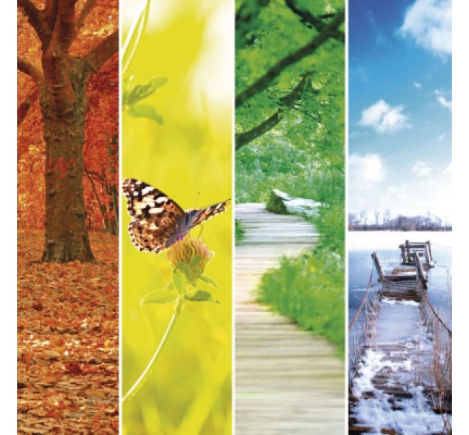 Датчик температури EMOS E0042