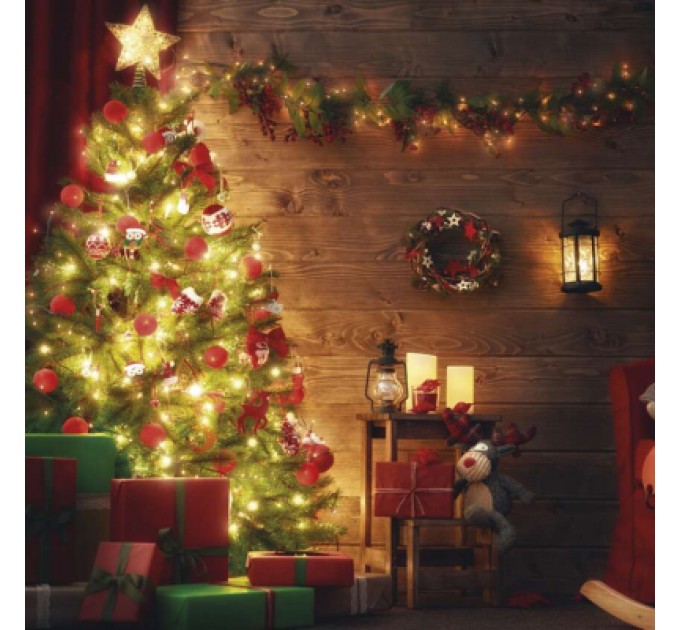 Таймер-розетка EMOS P5523N