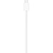 Apple Зарядний пристрій Apple MagSafe Charger 1.0 m Model A3502 (MGD74ZE/A)