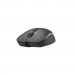 A4Tech Мишка A4Tech FM26S USB Smoky Grey (4711421993630)