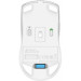 A4Tech Мишка A4Tech FB50C Plus Wireless/Bluetooth White (4711421002875)
