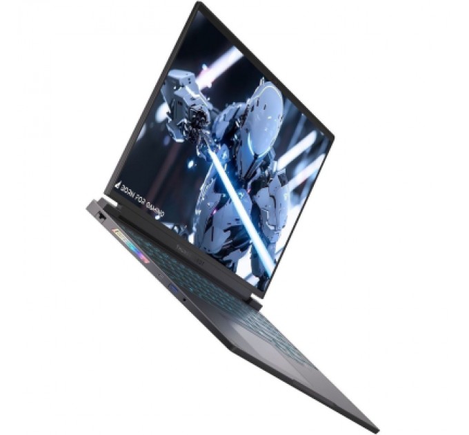 Ноутбук Thunderobot RS16 (RS16-i9139HX57C1Q240ARB)