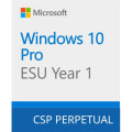 Microsoft Операційна система Microsoft Windows 10 ESU Year 1 (2025 - 2026) Extended Security Updates (ESU) (DG7GMGF0SSGZ_0004)