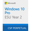 Microsoft Операційна система Microsoft Windows 10 ESU Year 2 (2026 - 2027) Extended Security Updates (ESU) (DG7GMGF0SSGZ_0001)