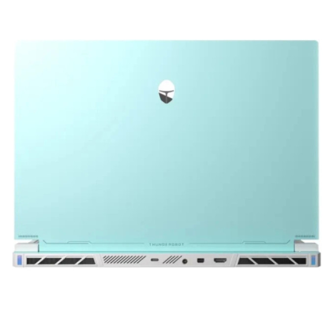 Thunderobot Ноутбук Thunderobot RS16 (RS16-i7136HX56C1Q180RC)