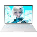 Thunderobot Ноутбук Thunderobot RS16 (RS16-i7136HX56C1Q180RC)