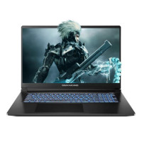 Ноутбук Dream Machines RT5050-17 (RT5050-17UA25)
