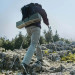 Naturehike Трекінгові палиці Naturehike CNK2450DS016, 110 см, зелена (6927595777688)