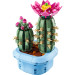 LEGO Конструктор LEGO Botanicals Цвітіння кактуса (11509)