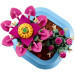 LEGO Конструктор LEGO Botanicals Цвітіння кактуса (11509)