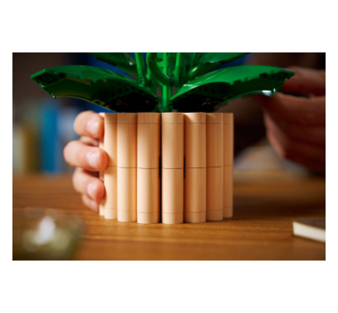 LEGO Конструктор LEGO Botanicals Спатифілум (11504)