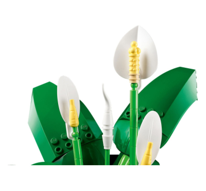 LEGO Конструктор LEGO Botanicals Спатифілум (11504)