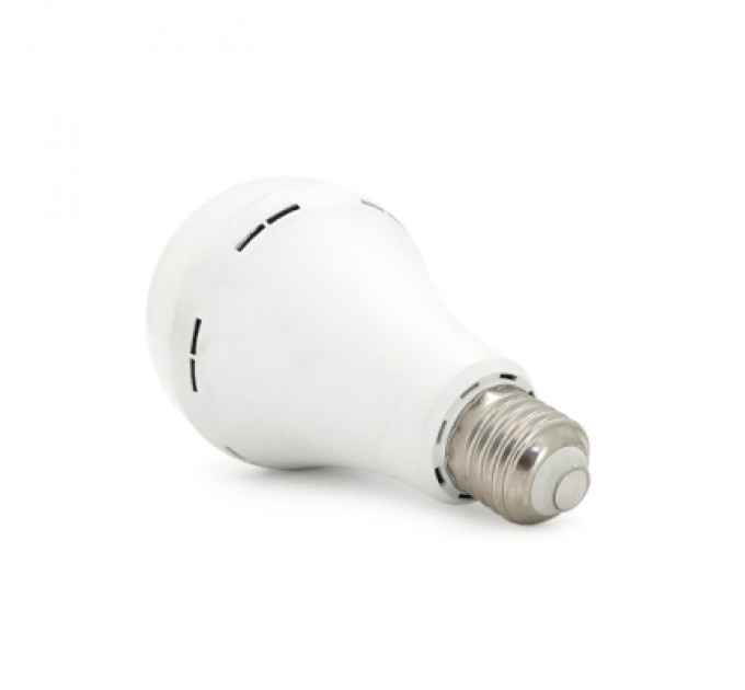 Ліхтар Almina DL-2030 30W, 2700Лм, 6400K (DL-2030)