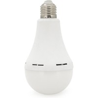 Ліхтар Almina DL-2030 30W, 2700Лм, 6400K (DL-2030)