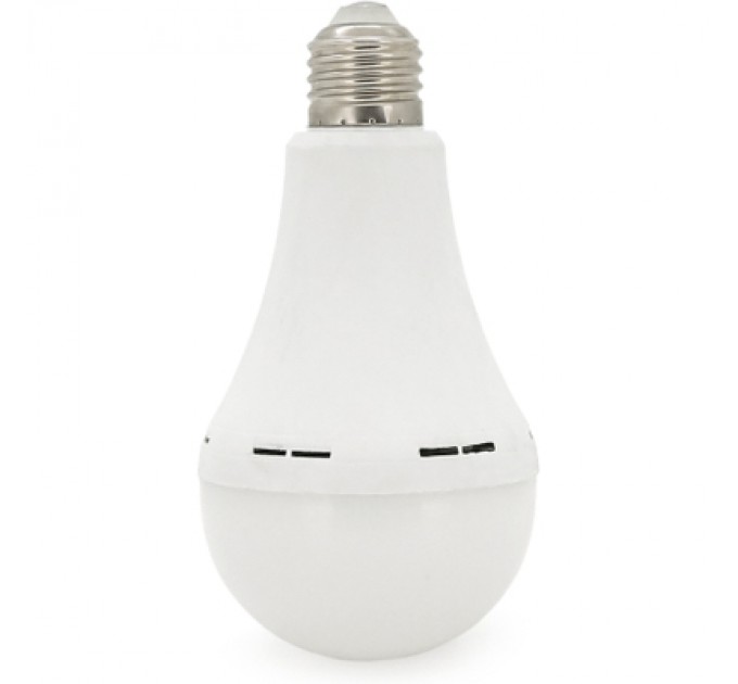 Ліхтар Almina DL-2030 30W, 2700Лм, 6400K (DL-2030)