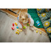 LEGO Конструктор LEGO DUPLO My First Чарівні творчі домашні улюбленці 3 в 1 (10477-)