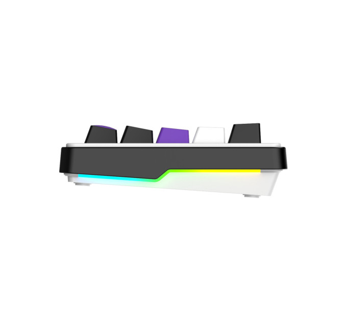 Hator Клавіатура Hator Hellyberry HK60 Mechanical Linear RGB USB UA Black/White (HK60)
