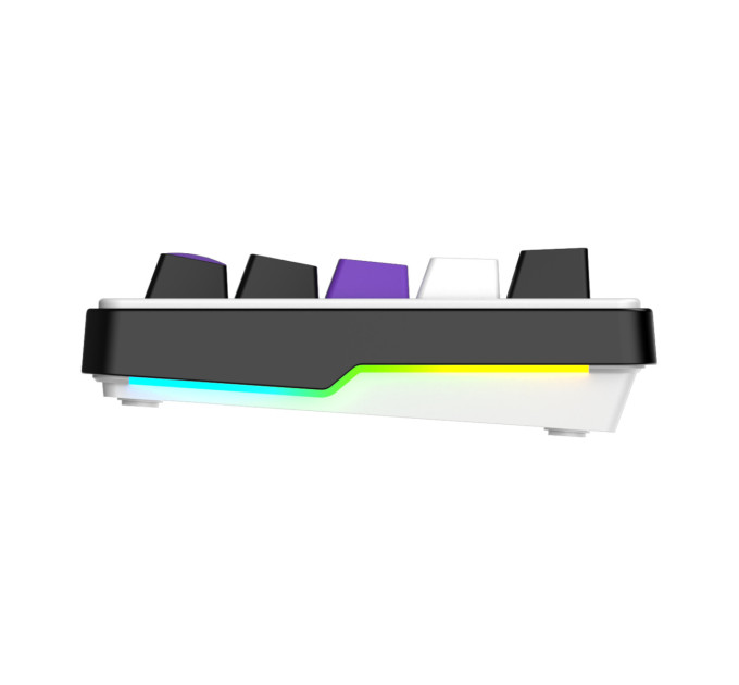 Hator Клавіатура Hator Hellyberry HK60 Mechanical Linear RGB Wireless/Bluetooth/USB UA Black/White (HK60_wireless)