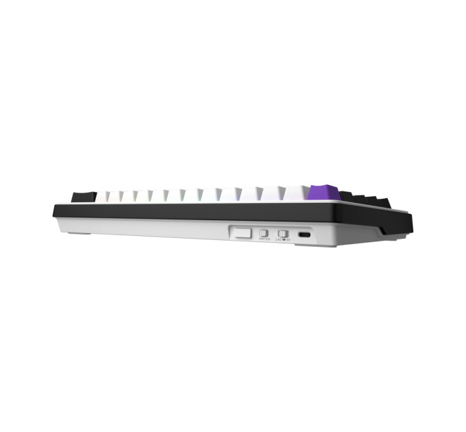 Hator Клавіатура Hator Hellyberry HK60 Mechanical Linear RGB Wireless/Bluetooth/USB UA Black/White (HK60_wireless)