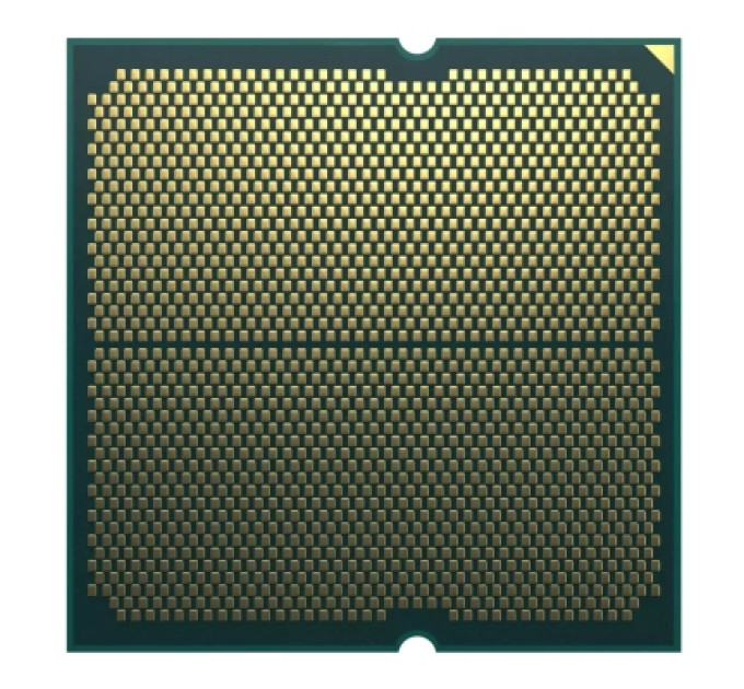 AMD Процесор AMD Ryzen 7 7700 (100-100000592SPK)