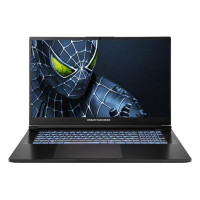 Ноутбук Dream Machines RG5050-17 (RG5050-17UA29)