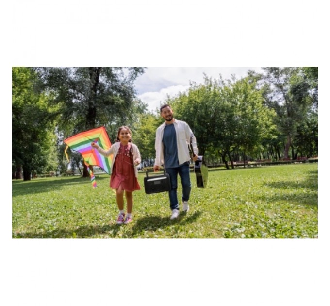 Зарядна станція Acer APS311 600W 512Wh (APS311)