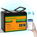 Eco-Worthy Батарея LiFePo4 Eco-Worthy 12.8V 100Ah LCD (Eco-Worthy-12100bt)