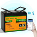Eco-Worthy Батарея LiFePo4 Eco-Worthy 12.8V 100Ah LCD (Eco-Worthy-12100bt)
