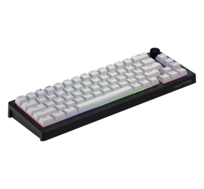 Hator Клавіатура Hator Skyfall 65 MAG ULTRA 8K Aurum Ice RGB USB UA Black/White (HTK1860UA)