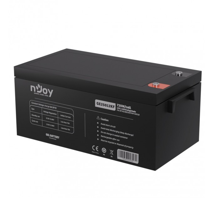 Акумуляторна батарея Njoy GE25012KF 12V 250AH (BTVGCBEOGHYKFCW01B) GEL