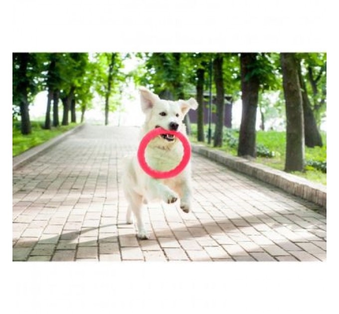 Іграшка для собак Collar PitchDog Кільце для апортування 17 см рожеве (62367)