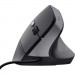 Trust Мишка Trust Bayo II Ergonomic USB Black (25144)