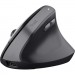 Trust Мишка Trust Bayo 2 Ergonomic Wireless/USB-A Black (25145)