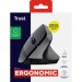 Trust Мишка Trust Bayo 2 Ergonomic Wireless/USB-A Black (25145)